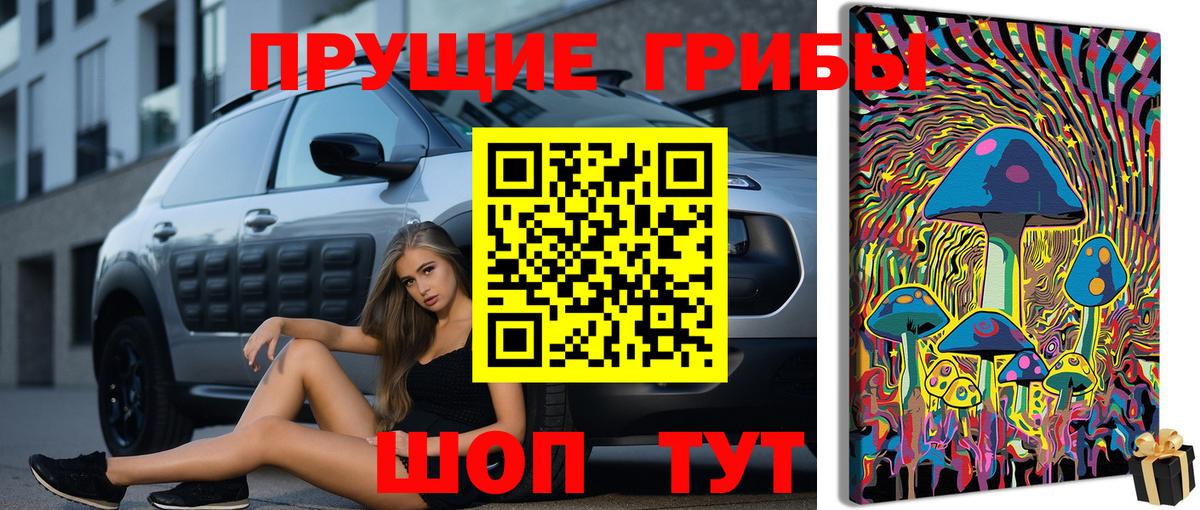 Сибай  Псилоцибиновые грибы GOLDEN TEACHER  Вход с VPN  Галлюциногенные грибы MAGIC MUSHROOMS 
