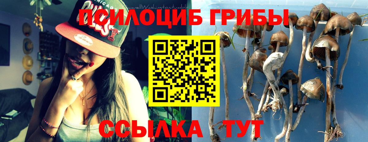 Псилоцибиновые грибы мицелий Сибай